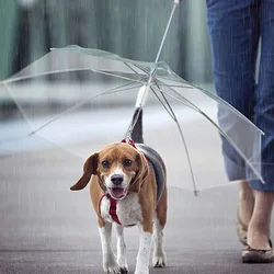 2022 New Pet Umbrella Leash Rainproof Snowproof Dog Umbrella Leash for Small Dogs Adjustable Doggy Umbrella