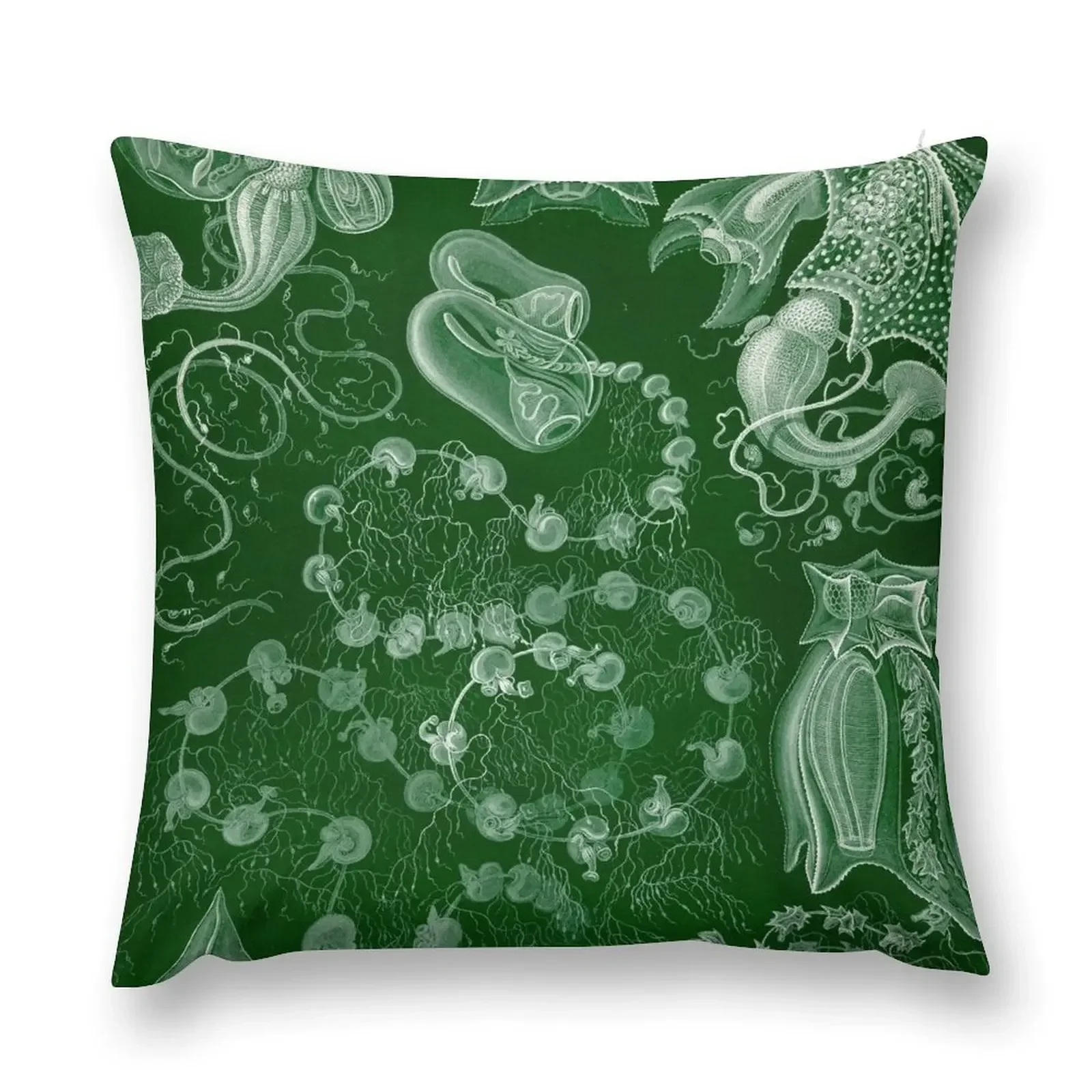 

Siphonophorae - Ernst Haeckel Throw Pillow Sofa Covers Marble Cushion Cover pillow