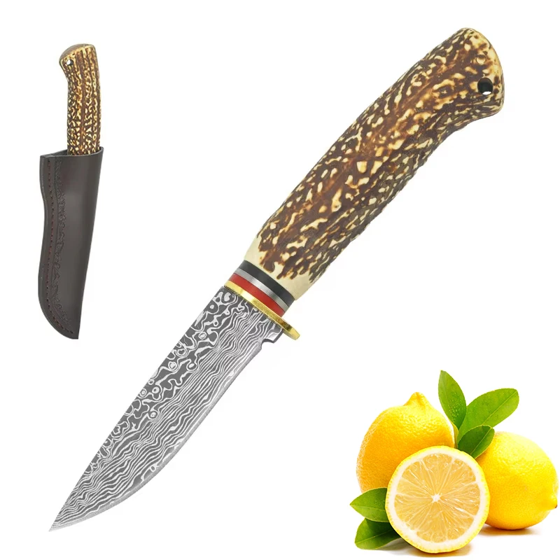 

Kitchen knife Household fruit cutting knife Imitation bone handle multi-functional high-hardness stainless steel pocket knife