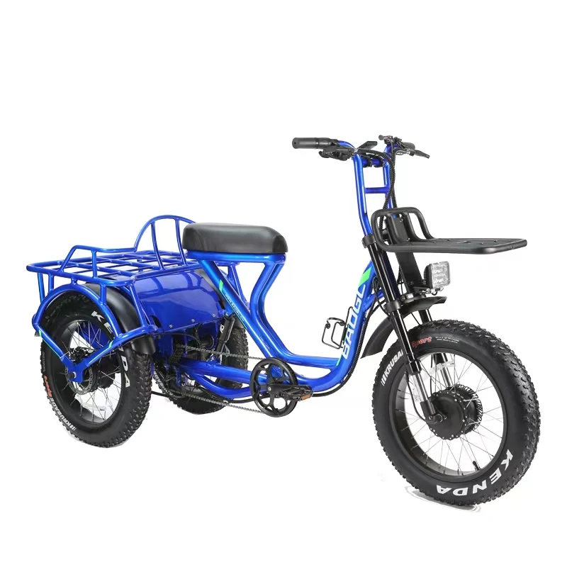 Versatile Electric Tricycle with 48V 500W Dual Motor20 Inch Fat Tire Electric Bike 3 Wheel E Trike for Hunting Cargo Purposes