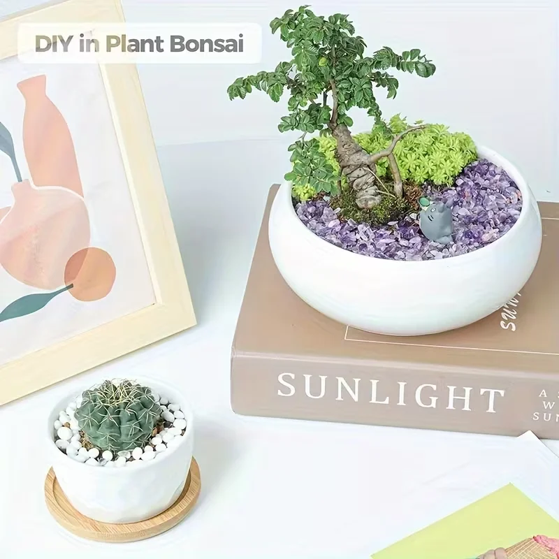 Ruwe grindkristalkwarts - Amet - Aquarium Planted Soil recensie en prijs