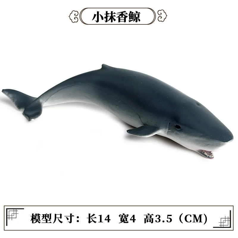 Children\'s solid static simulation marine animal model toy whale shark sperm whale plastic animal model ornaments