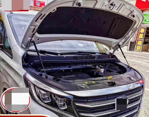 

2x Hood Dampers for Trumpchi M6/GM6 GAC GM6/GN6 PRO 2018-present Front Bonnet Gas Struts Lift Support Shock Absorber Piston Rods