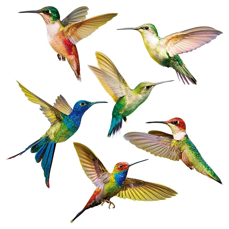 6 Pcs Lrge Size Bird Window Clings Anti-Collision Window Clings Decals To Prevent Bird Strikes On Window Glass