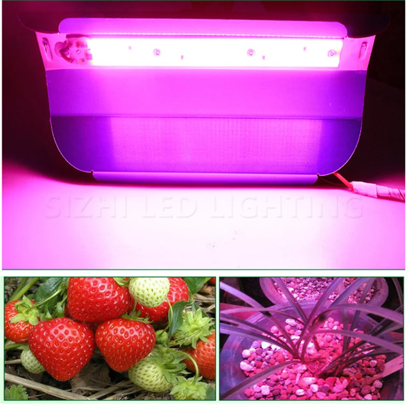 

10X Full Spectrum LED Phyto Lamp High Power 50W 80W LED Grow Light Waterproof 110V 220V For Indoor Plants Greenhouse Hydroponic