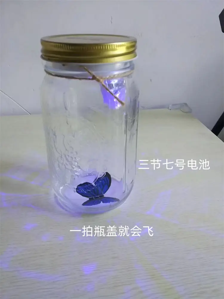 бабочка в банке/Butterfly in the jar