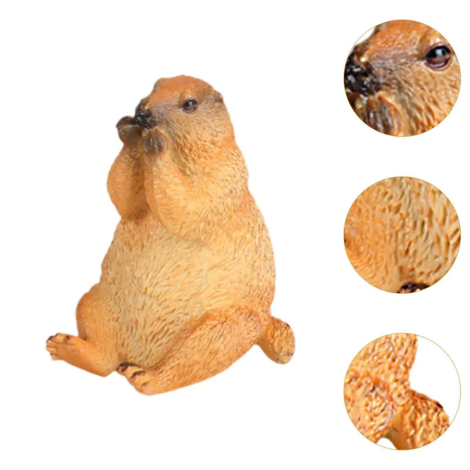 Groundhogs Model Figure Art Decor Educational for Gifts Party Favors Kids