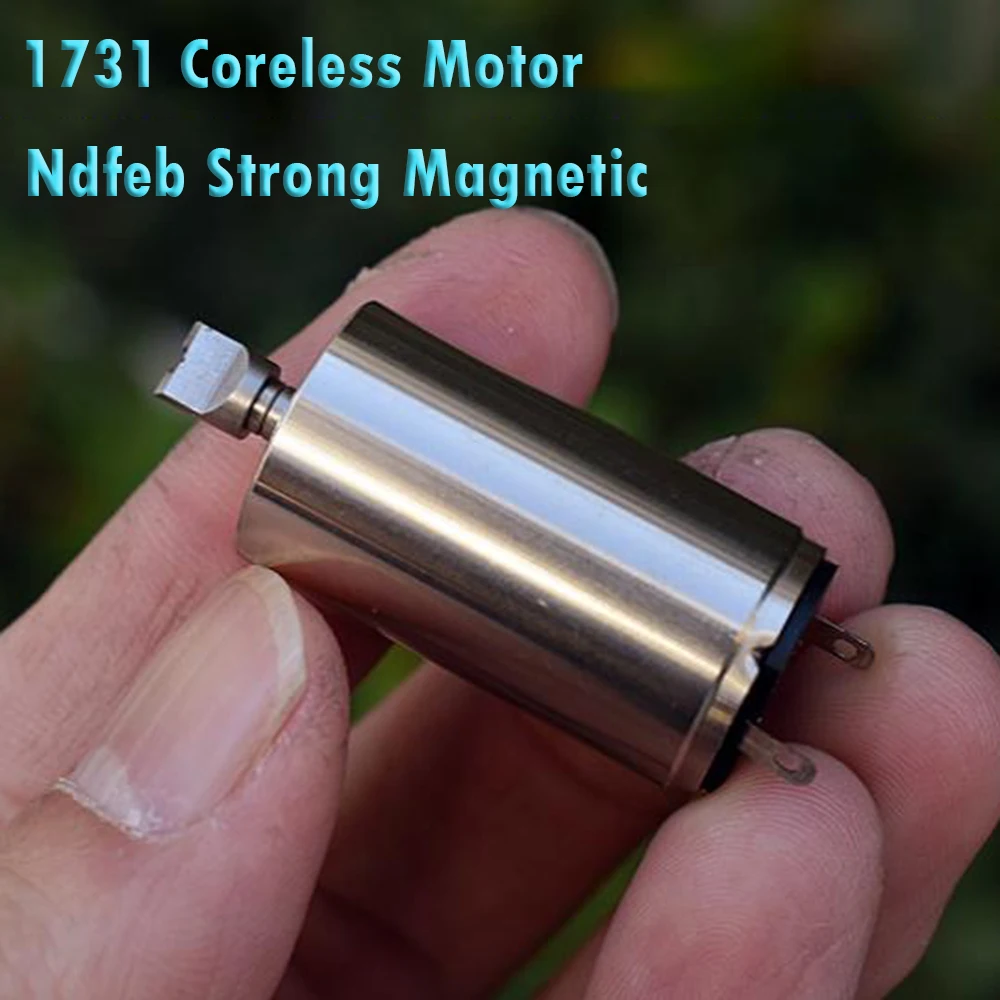 Precision 17mm*31mm 7-pole Rotor Coreless Motor DC 12V 15000RPM High Speed Ndfeb Strong Magnetic Steel Large Torque