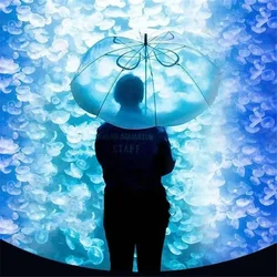 Portable New Long Handle Jellyfish Automatic Umbrella Plastic Unisex Rain Gear Transparent Gradient Unique Beach Parasol