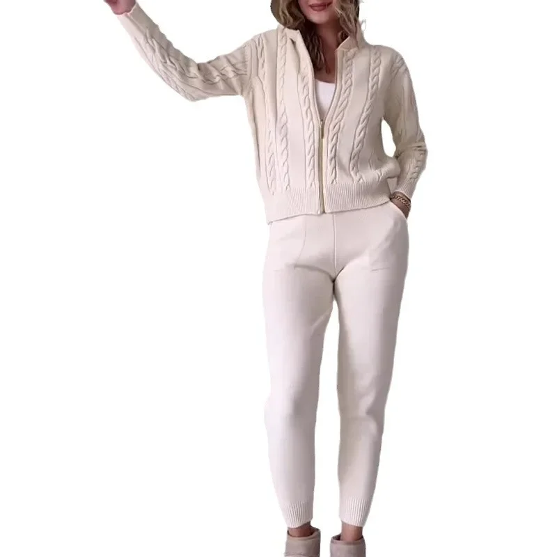 女性の秋ツーピースソリッドカラーカジュアル麻柄フード付きジッパー長袖トップ + 長ズボン 2 点セットレディース衣装