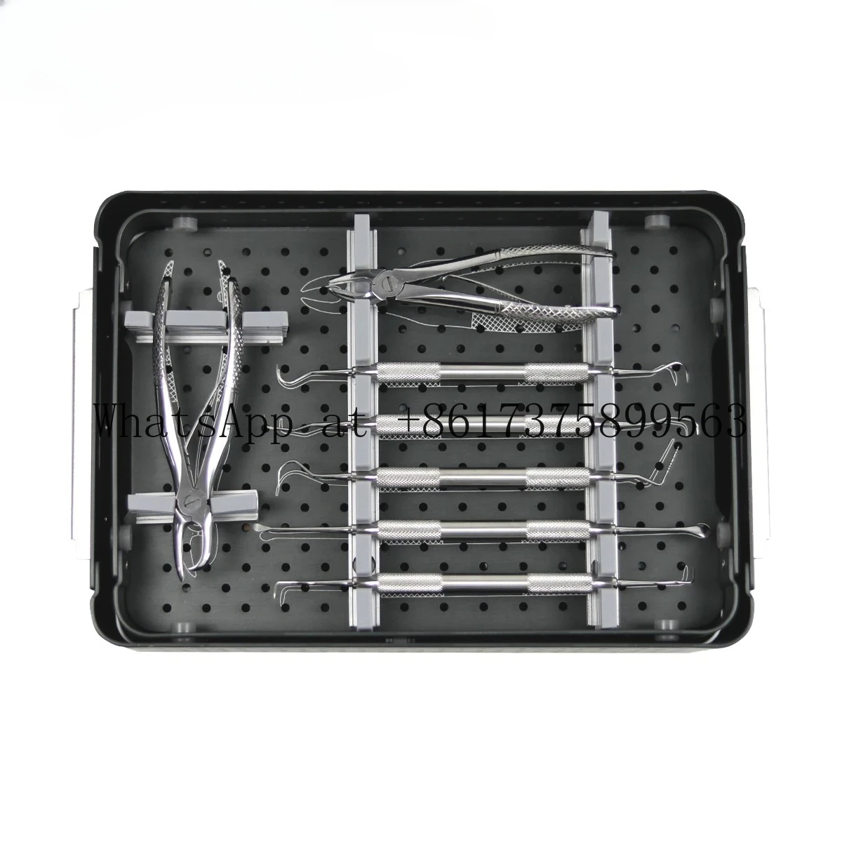 Veterinary Extraction Instrument Kit Complete Stainless Steel Tools Kit for Pet Animal Clinic Lab Care