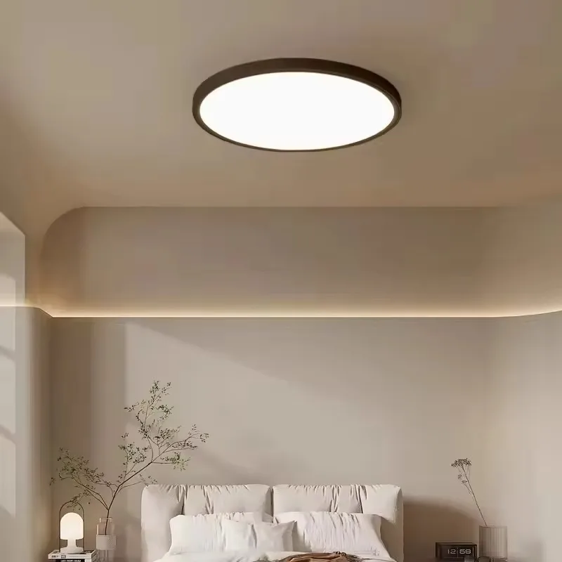 Modern Iron Ultra-thin Bedroom Small Exposed Black and White LED Ceiling Light