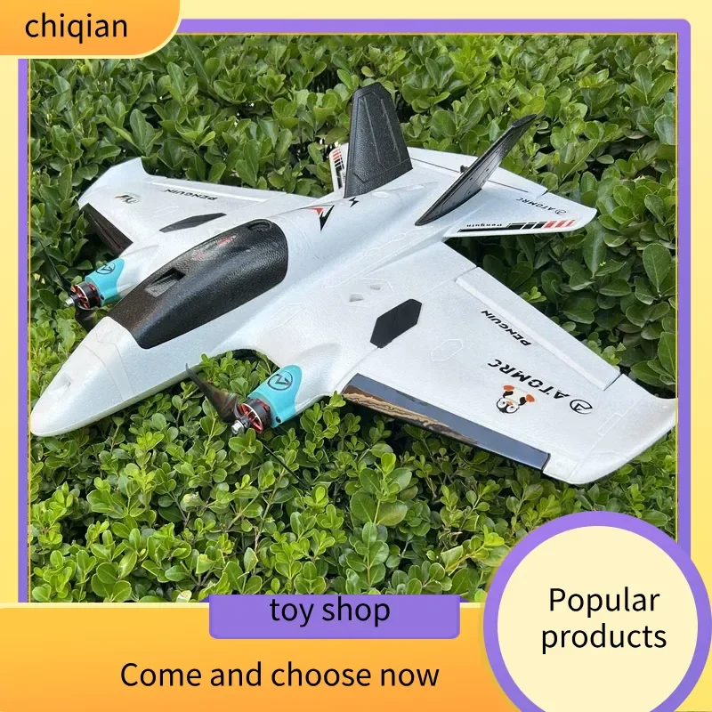 Atomrc pingüino doble motor baja altitud transversal FPV ala fija RC avión Control remoto avión portátil juguete para niños