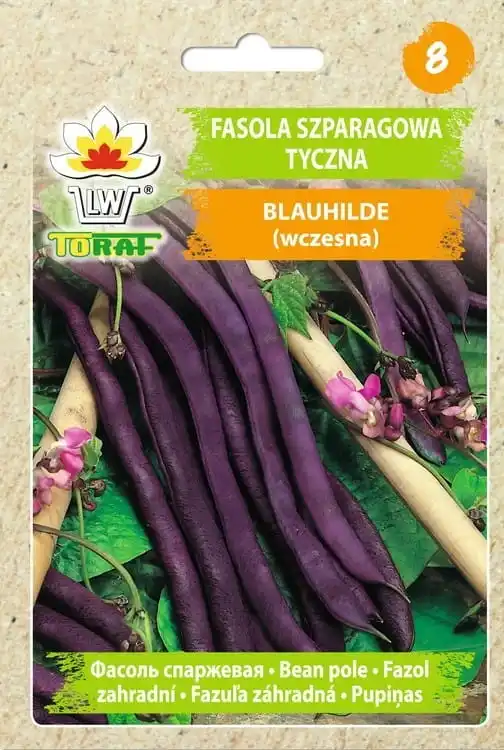 Blauhilde tic beans 10g TORAF vegetable bean seeds