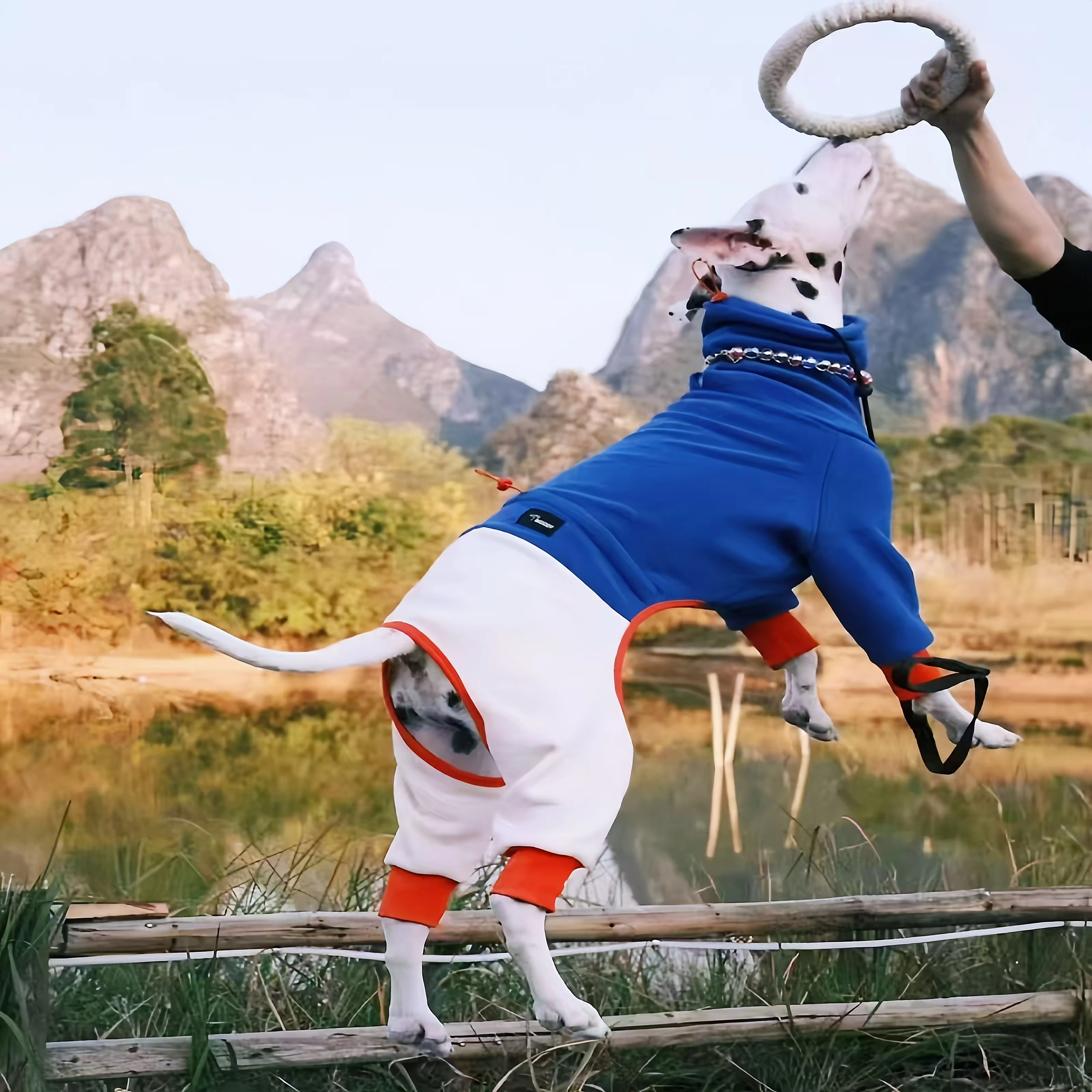 

Luxury Winter Fleece Turtleneck Whippet Onesie Fashion Italian Greyhound Dog Clothes Small and Medium Airless TerrierDog Coat