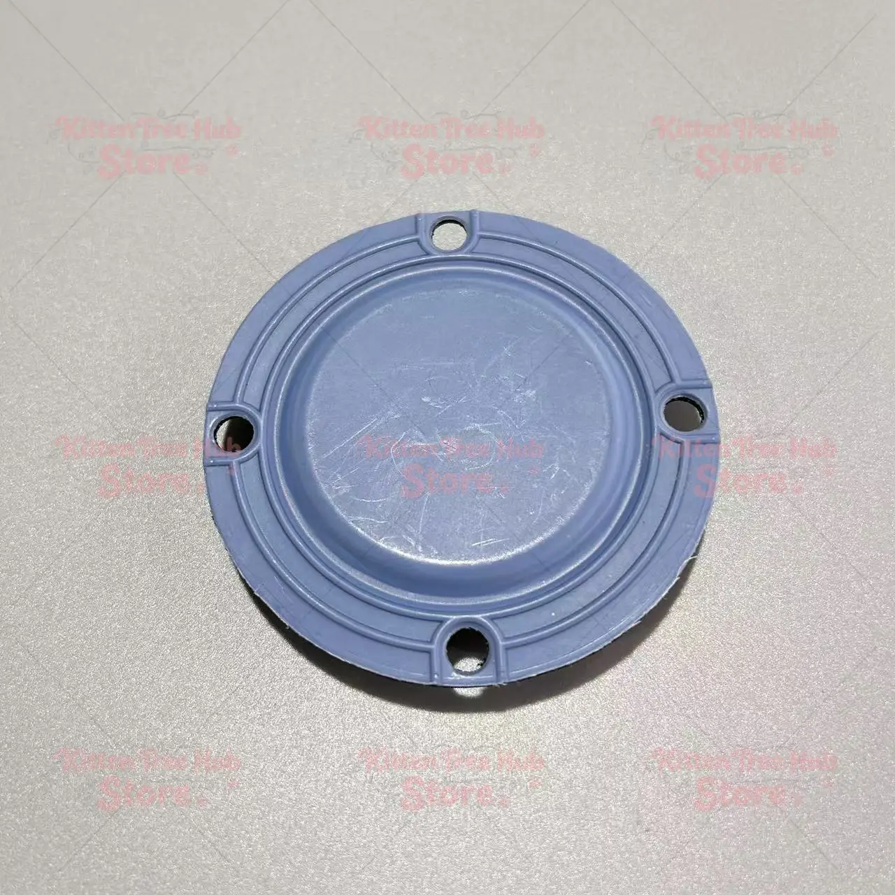 Metering pump diaphragm sheet accessories Prominent diaphragm