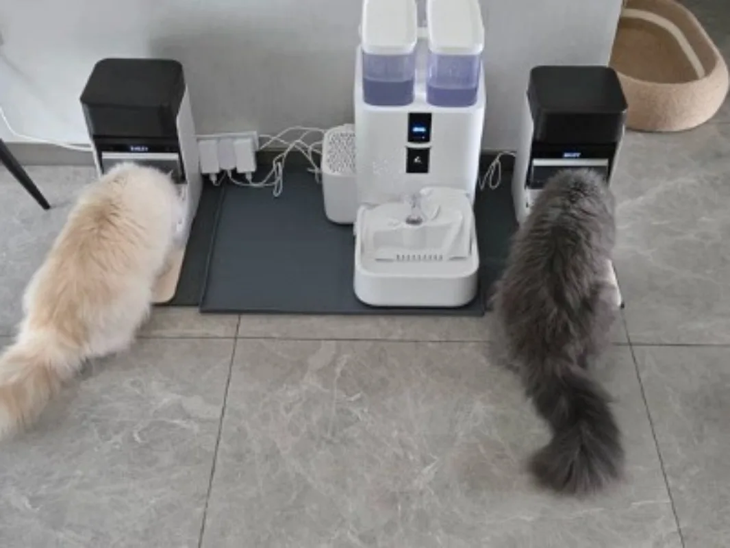Upgraded 5G‑WiFi Smart Pet Feeder, 3L App‑controlled Automatic Food Dispenser With Light Collar Tag
