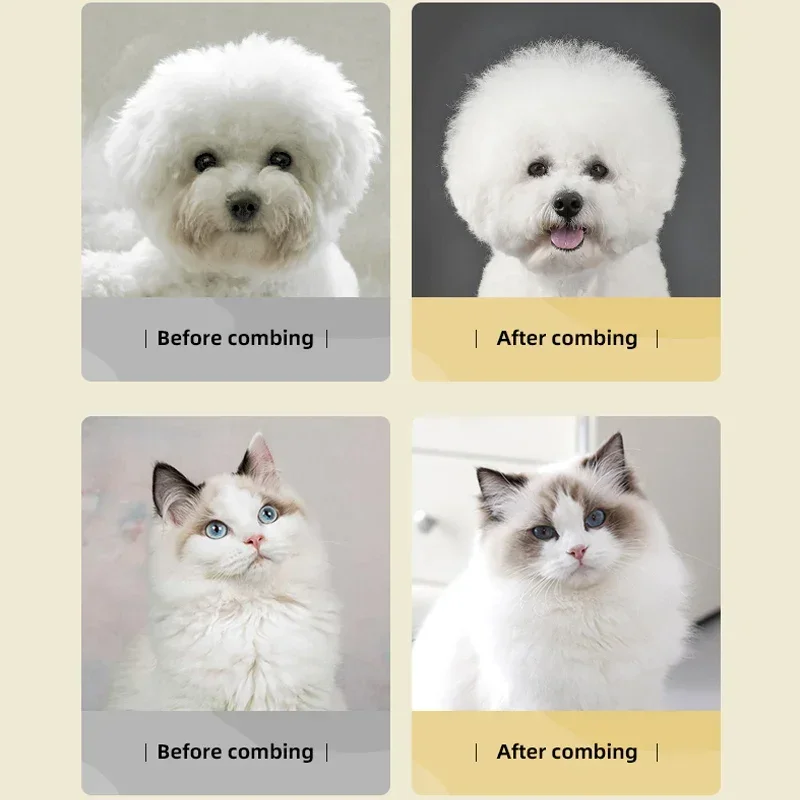 Thumbnail 4 - #53 Best Cat Grooming to Buy In 2026