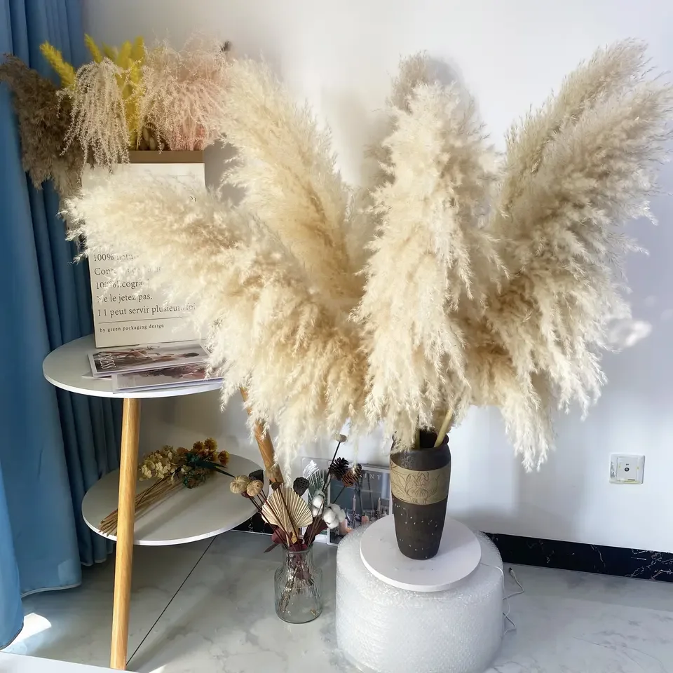 80cm Large Dried Pampas Grass Boho Wedding Decorative Dried Flowers Preserved Flower Home Decor Wedding Decor Long Plumes Grass