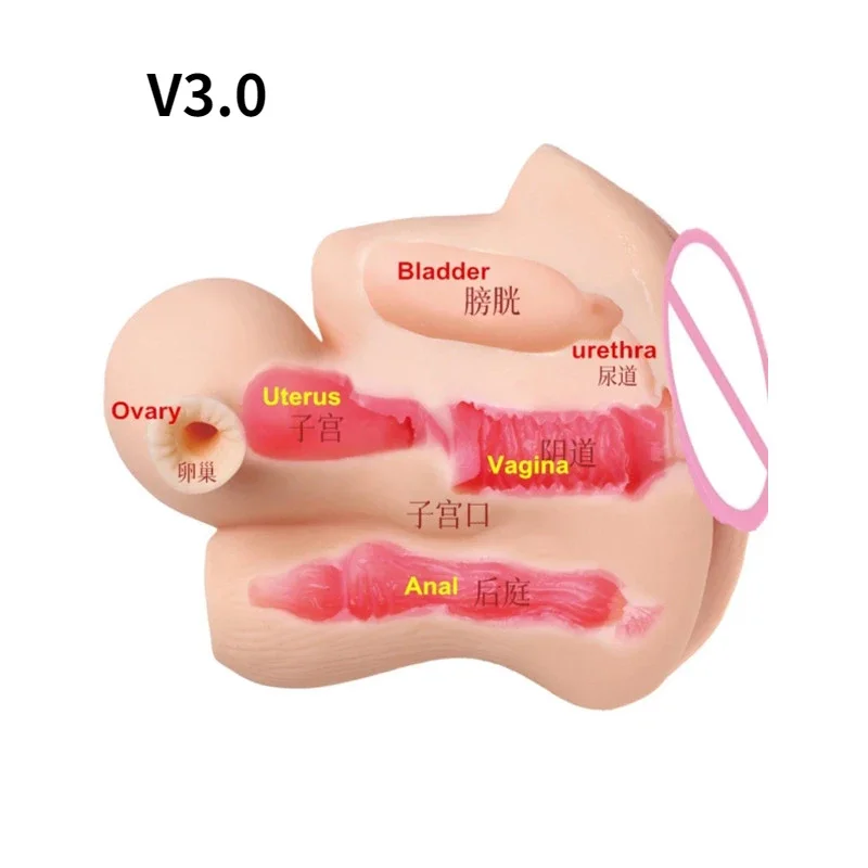 Male Soft Uterus Masturbator Vagina Cup Real Model Female Real Vagina For Men Anal Sex Deep Uterus Sex Prostate Stimulate Sextoy