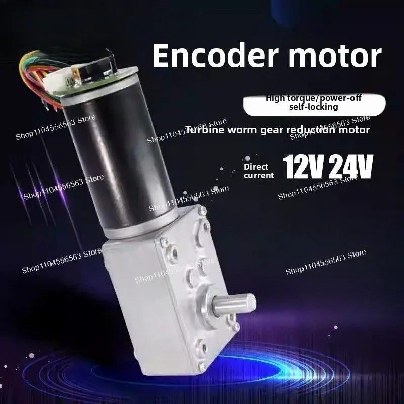 5840-31zy DC Worm Gear Motor | 12V/24V High Torque Motor with Encoder