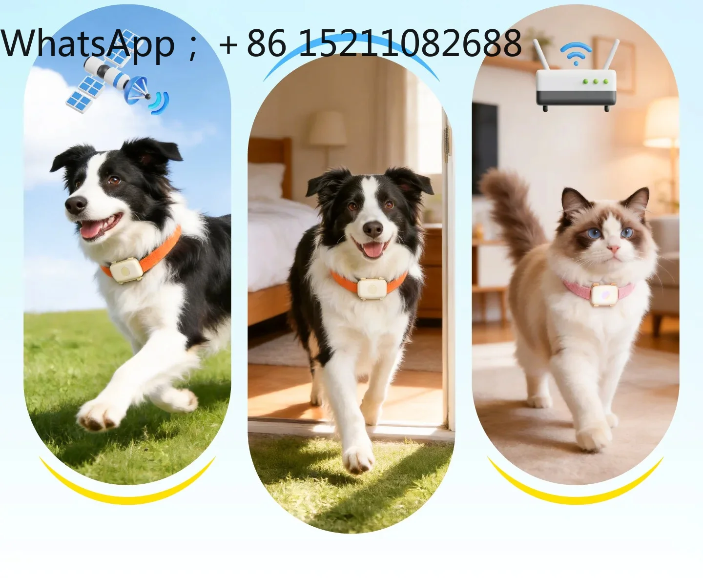 SCY pet locator cat and dog anti-lost GPS real-time positioning collar tracking artifact voice recall
