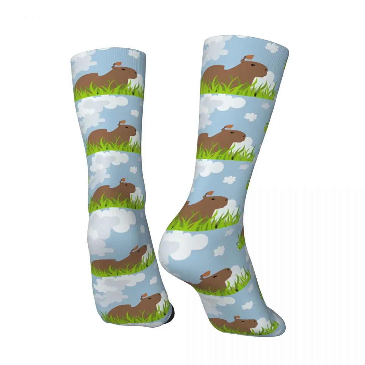 Retro Chilling Men's compression Socks Unisex Capybara Harajuku Seamless Printed Novelty Crew Sock