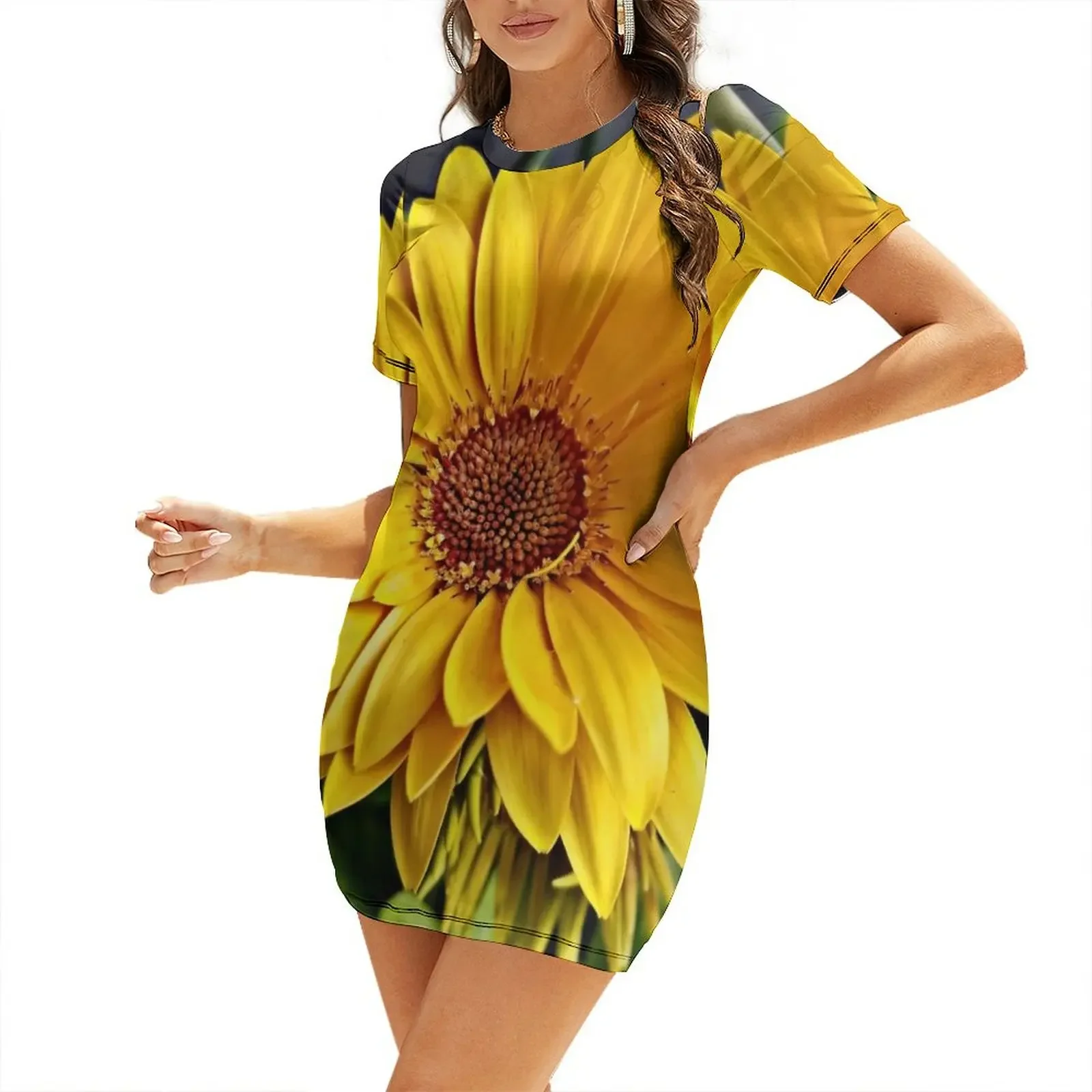 

Looking into the Sun Short-Sleeved Dress clothing women summer 2026 Party dresses