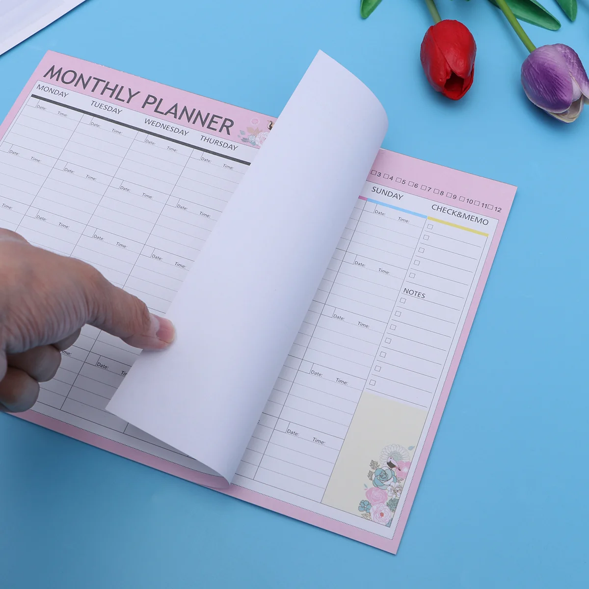 20 แผ่นรายเดือนปฏิทิน Schedule Organizer Agenda Schedule Organizer Notebook (สีชมพูสีเขียวผสม)