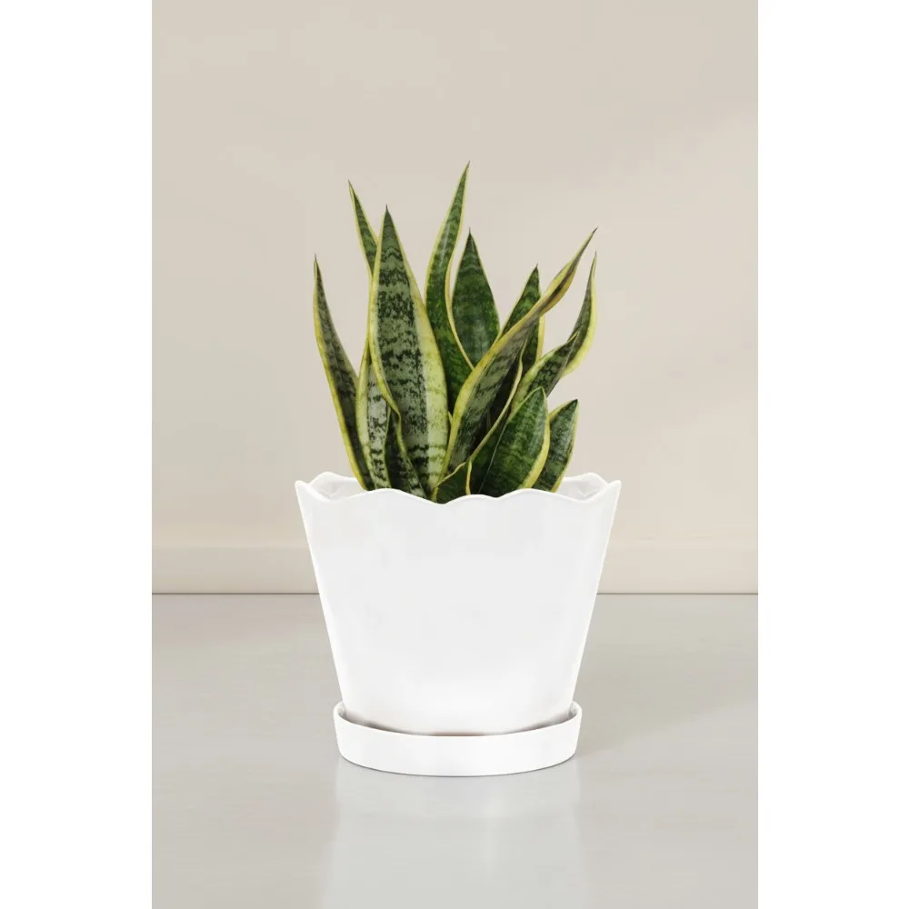 

Большой 8-дюймовый керамический горшок с дренажным отверстием - современный декор фермерского дома для внутренних и наружных растений, суккулентов