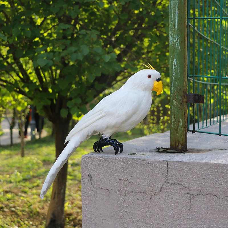 simulation-d'oiseau-cacatoes-modele-en-plastique-et-plumes-perroquet-blanc-artisanat-decoration-de-maison-cadeau-p1639