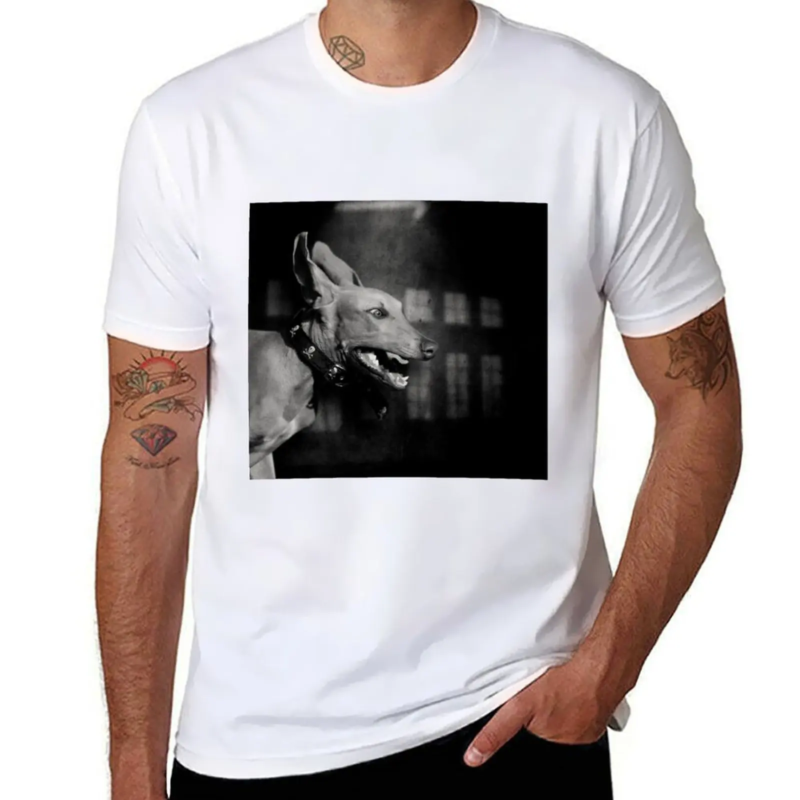 

Dogs with game face on .27 T-Shirt funny t shirts man t shirts designer T-Shirt