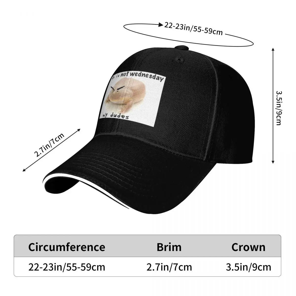 It Is NOT Wednesday My Dudes Frog Meme Baseball Cap Big Size Hat funny hat Hip Hop luxury woman cap Women Hats Men's
