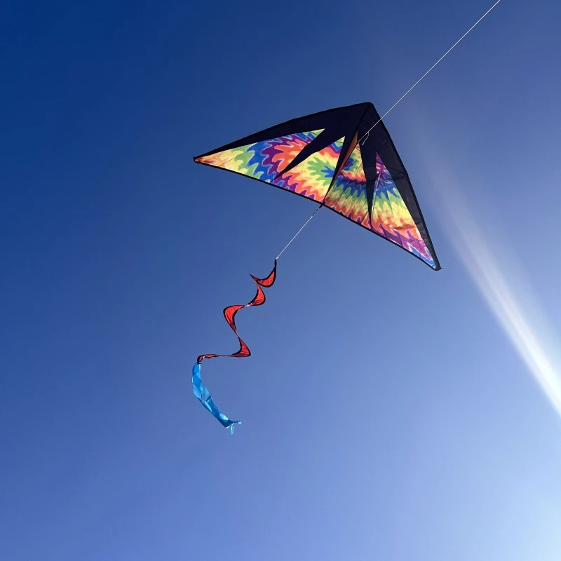 Neue Drachen Delta-Drachen fliegen für Kinder Drachenfabrik Outdoor-Spielzeug Regenbogendrachen professionelle Flugdrachen Nylon-Ripstop-Stoff