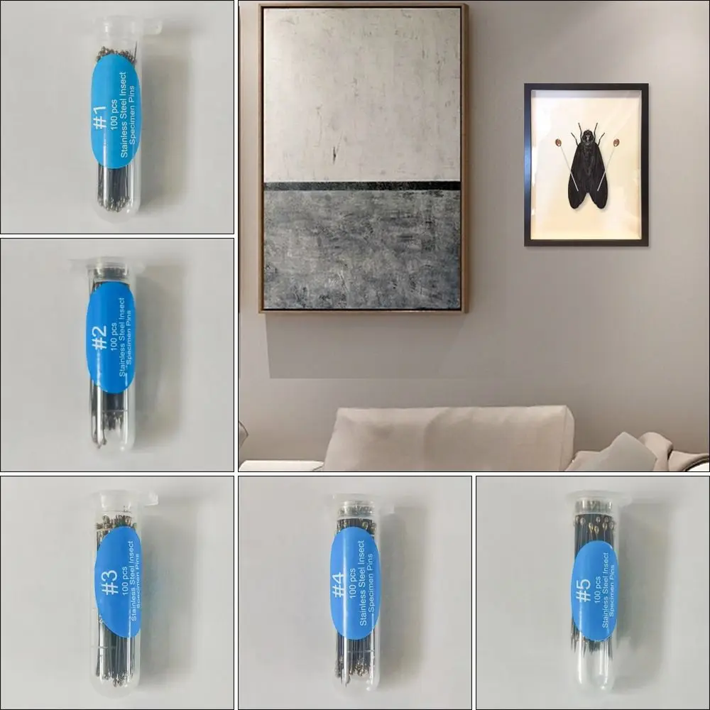 

100Pcs Upscale Education Entomology Lab Accessories Specimen Pins Insect Dissections Supplies Needle Pin