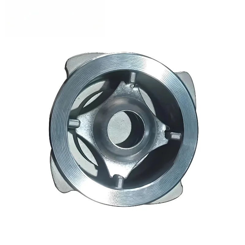Pneumatic 304 stainless steel German standard double clip check valve control hard seal one-way function 3