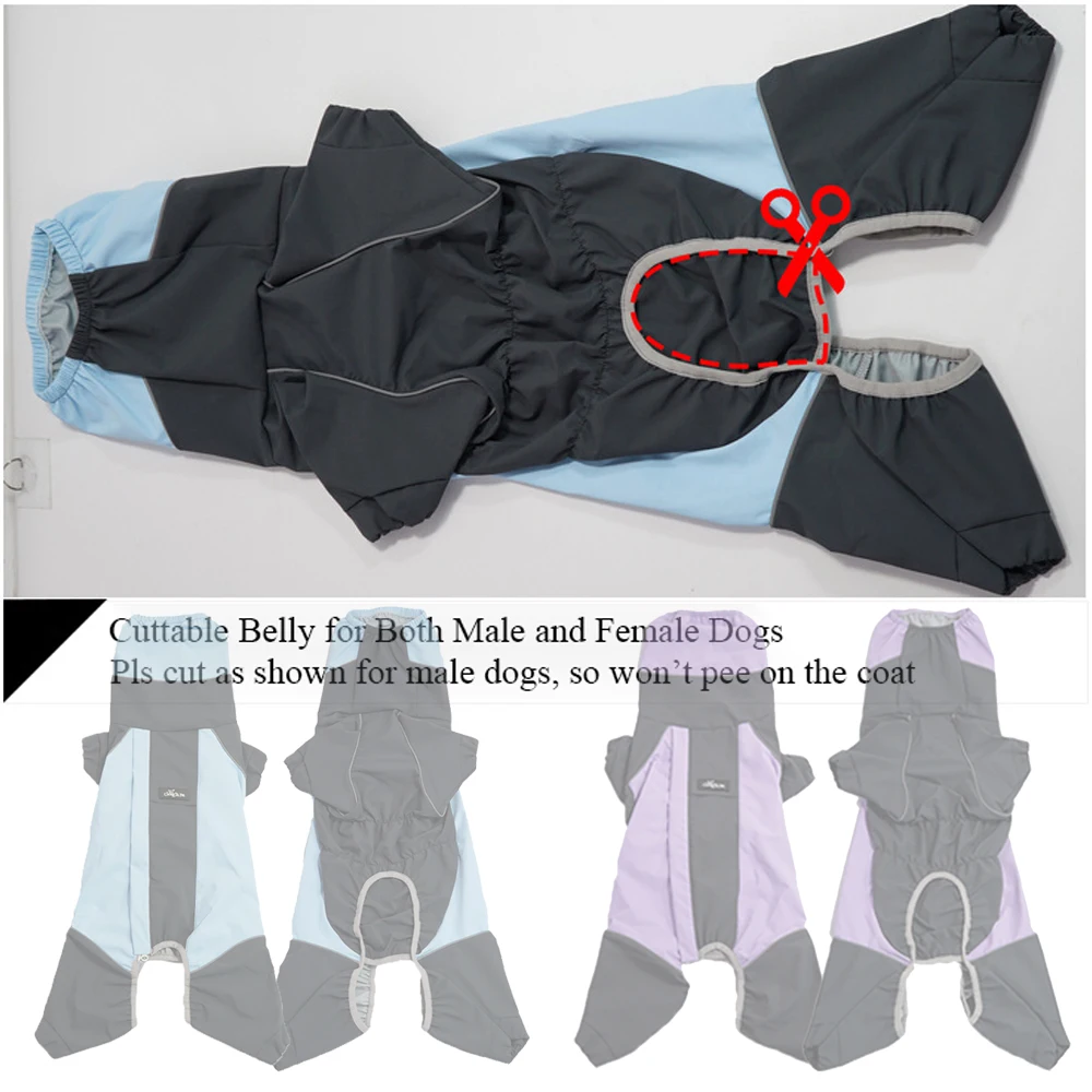 Thumbnail 4 - #23 Latest Pet Rain Jackets Offers