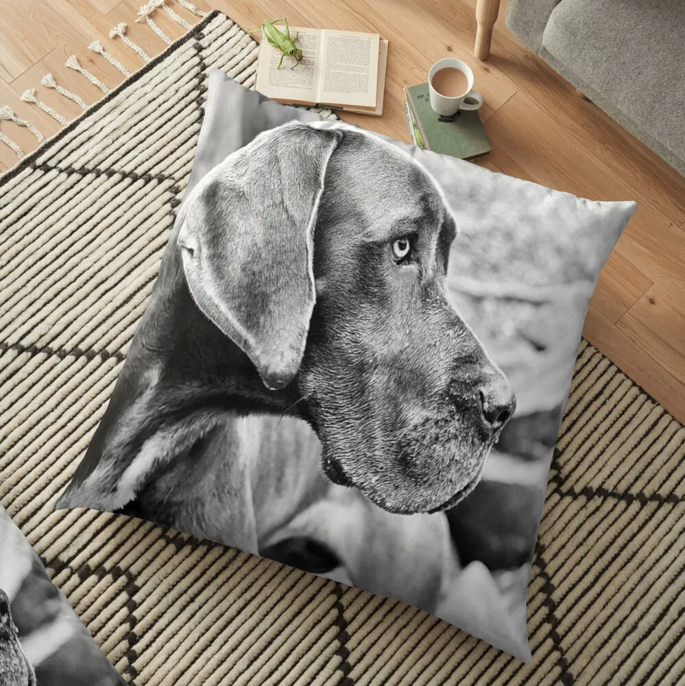 

Blue Black Great DaneFloor Pillow Pillowcases For Pillows Pillowcase Cushion