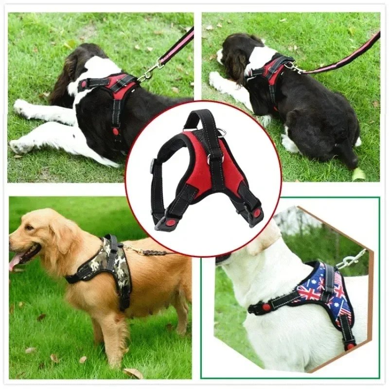 

Stylish, sleek, and durable harness for maximum comfort and security on walks, boosting your dog's visibility and safety. Practi