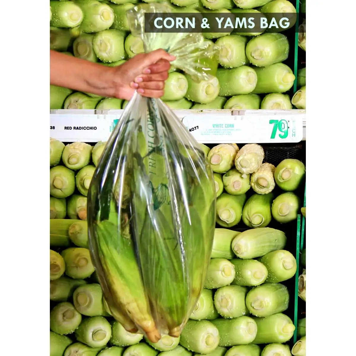 Green Plastic Bag, …