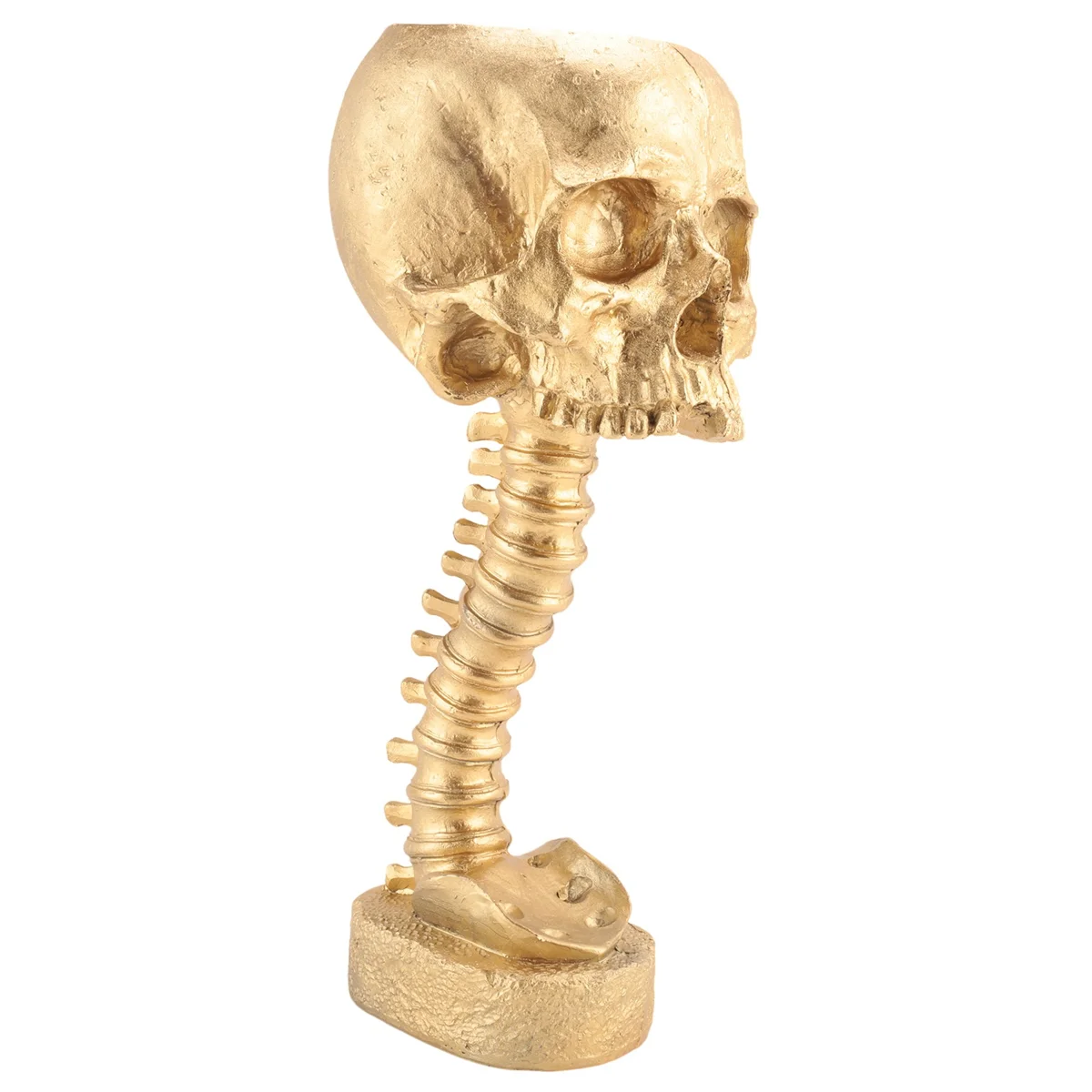 N98R مجموعة زارع جمجمة الراتنج وحامل العمود الفقري، وعاء جماجم البوليريسين، زينة الهالوين زهرة رأس جمجمة بشرية قديمة، ذهبي #3