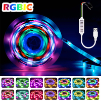 5V RGBIC WS2812B USB Led Strip Light Magic Color 3Keys Control Led Flexible Ribbon LED Strip Tape Diode Rgbic Led Strip Lights