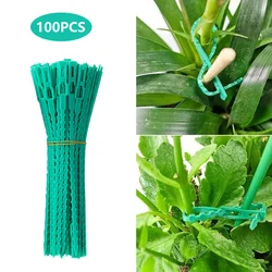 13/17cm adjustable plastic plant ties Flexible garden plant ties Reusable shrub retainer for tree climbing vine stem clip 100PCS