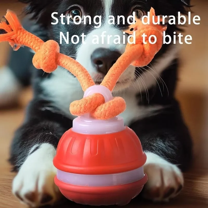 스마트 강아지 장난감, 움직임 감지 기능이 있는 자동 - Automatic Moving Dog Ball 리뷰 및 가격