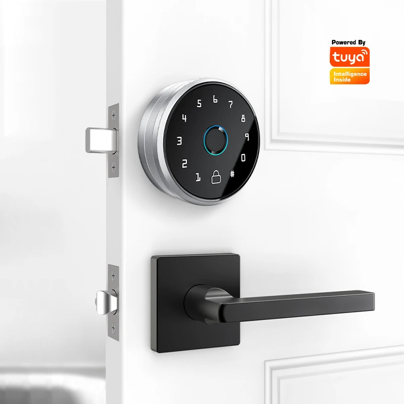 Tediton Hotselling Wifi APP Deadbolt Lock Keypad Wireless Fingerprint Smart Door Lock Deadbolt