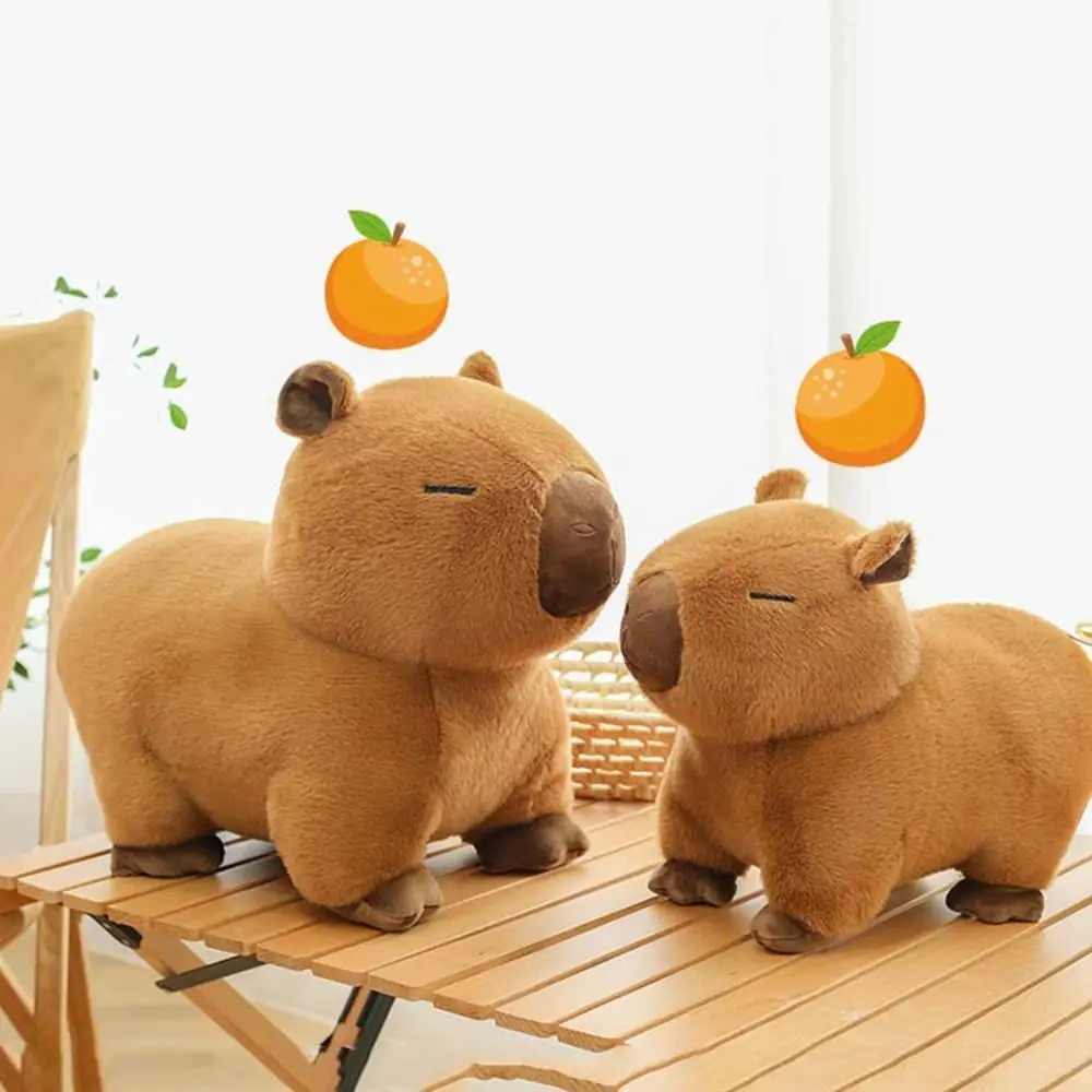 Peluche Capybara moelleuse, jouet de simulation de dessin animé, beurre doux, décoration d'intérieur, 30cm