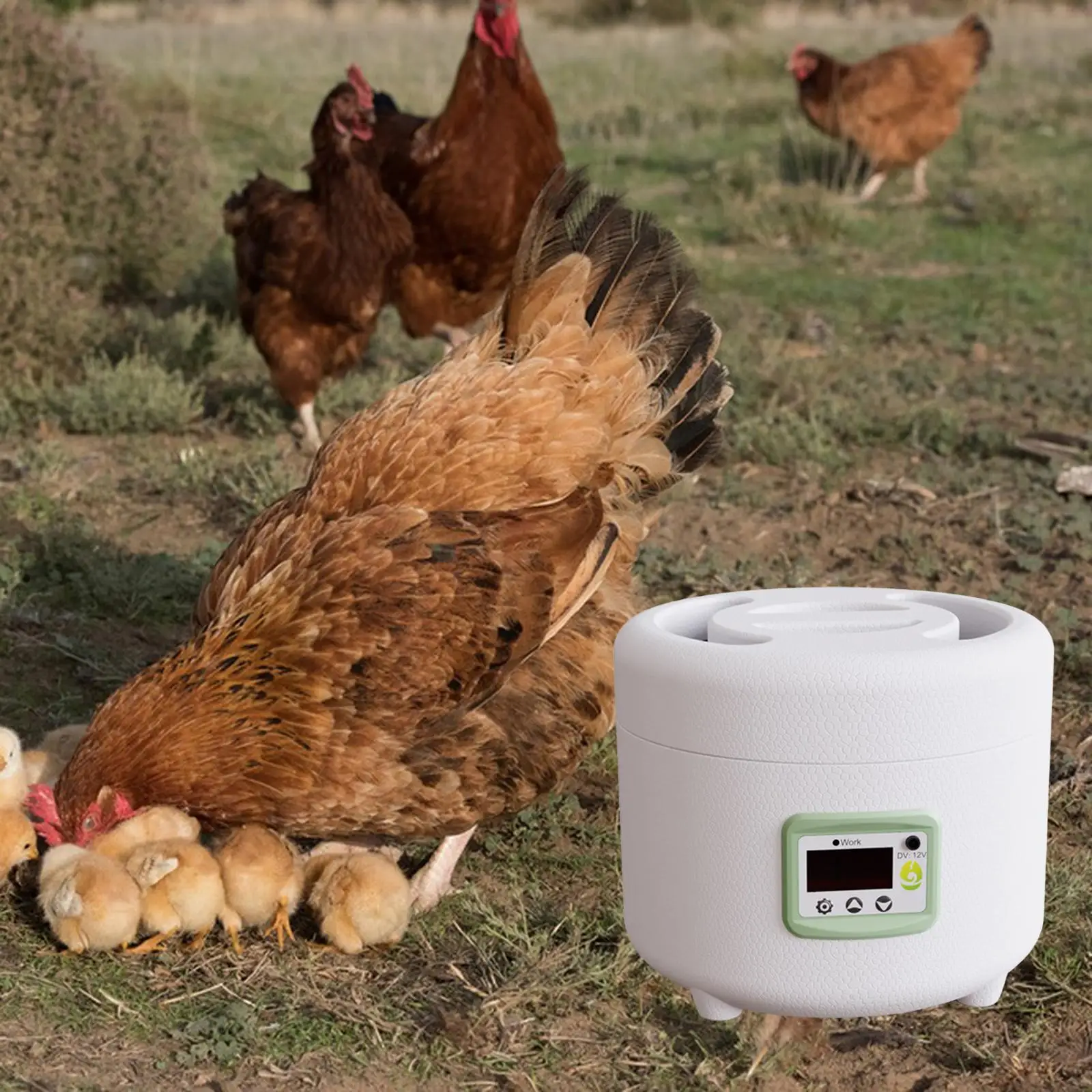 

Инкубатор для яиц с регулируемой температурой, автоматическая машина для инкубации яиц птицы, вмещает 9 яиц для научного класса, лабораторный цыпленок с попугаем