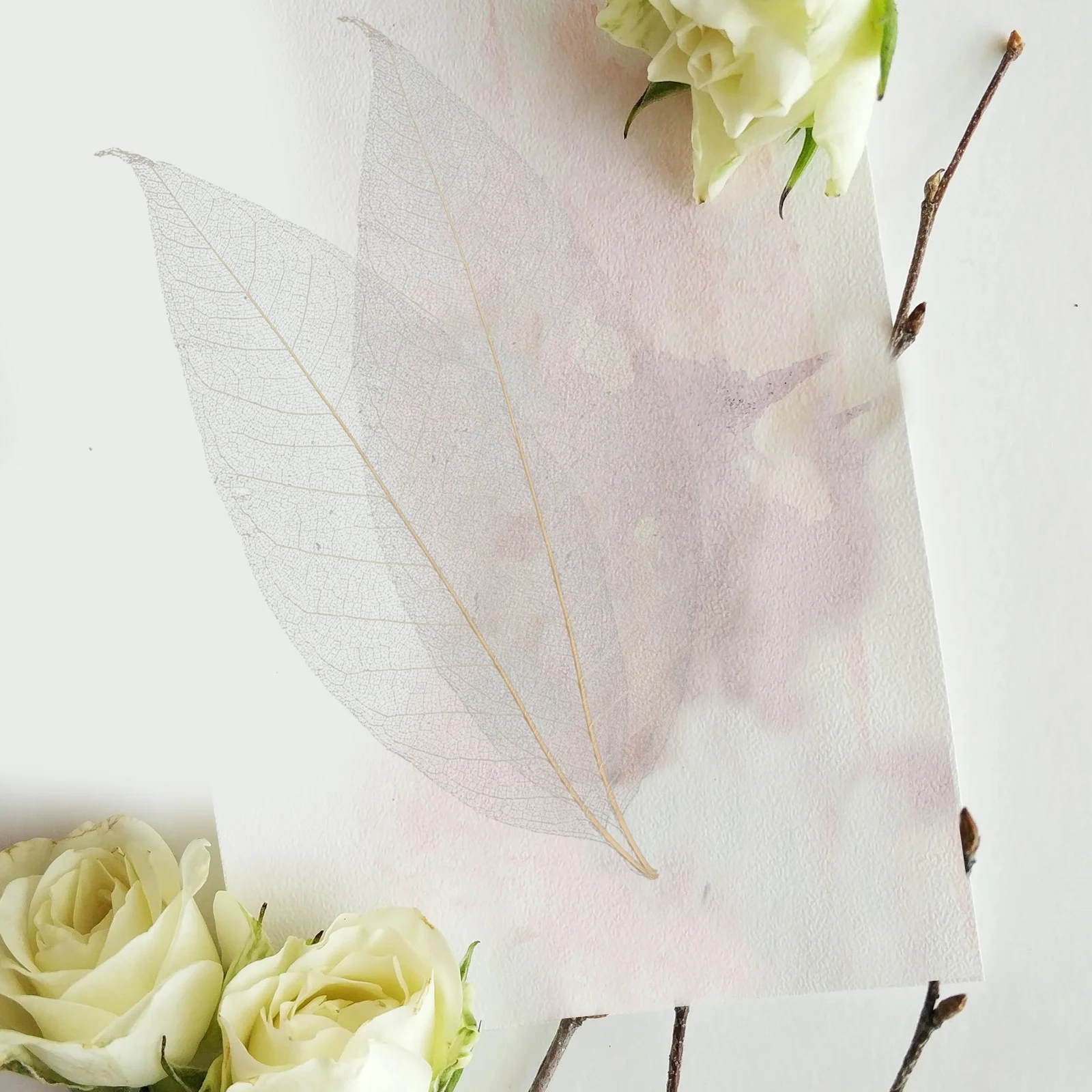 

100 Pcs Leaf Vein Specimens Dried Flower Bookmark Scrapbooking Embellishment Orange Bookmarks Bamboo Craft Embellishments