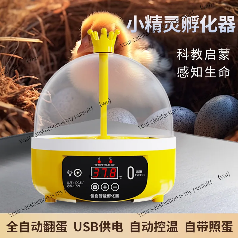 Egg incubator Chicken breeding equipment Incubator Small household Mini automatic egg