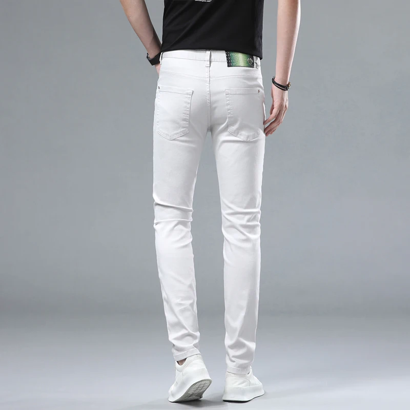 2024 summer new Laisel Tencel ice platinum gray high luxury business casual versatile Slim thin small straight jeans men's pants